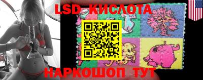 стафф Новокубанск