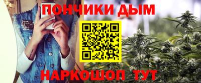 мдпв Новозыбков