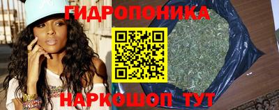стафф Новокубанск