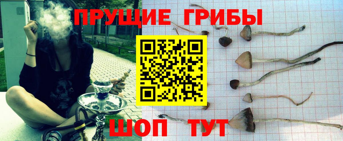 Псилоцибиновые грибы ЛСД  Вход с VPN  Галлюциногенные грибы мухоморы  Находка 